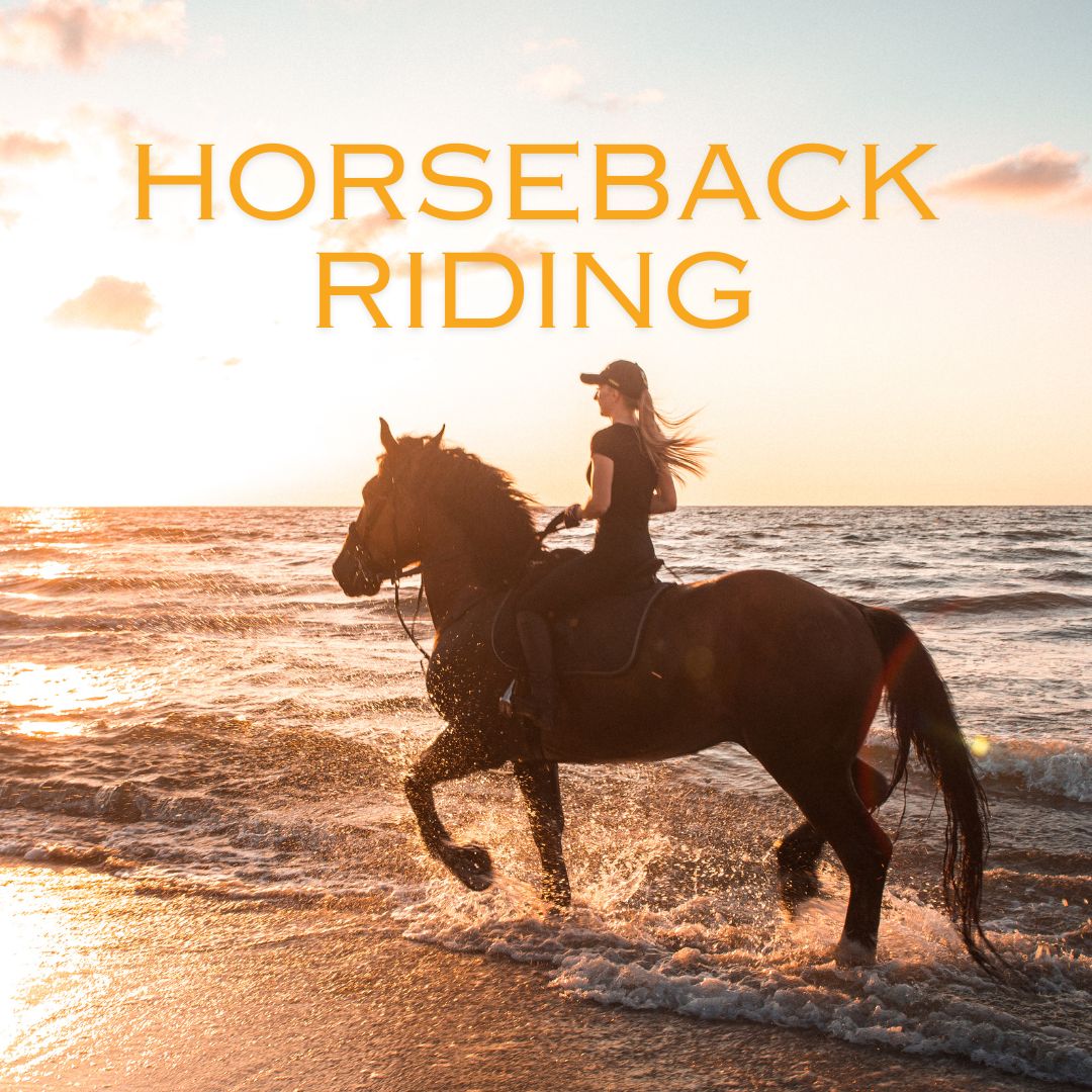 Thing To Do HORSEBACK RIDING